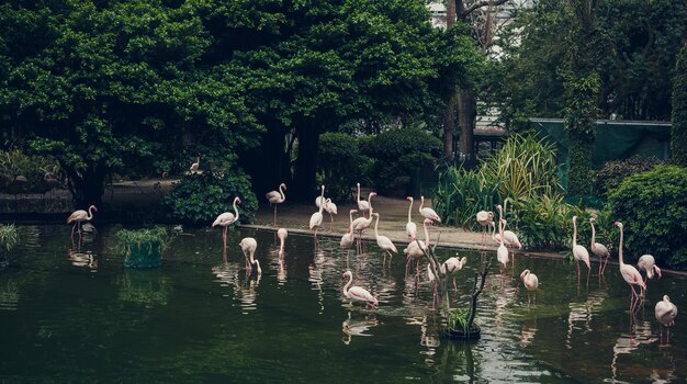 Introduction: The Philadelphia Zoo - A Place for Wild Encounters and Conservation